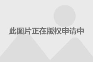 2016浪琴中国马术巡回赛 顶级骑手云集上海站开赛--上海热线体育频道